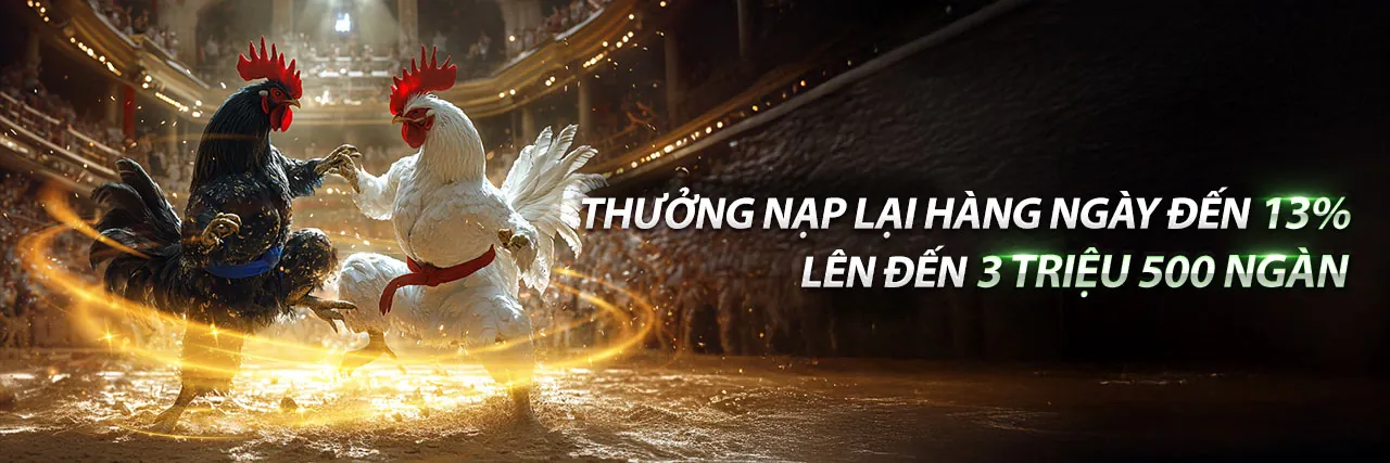 Tin Tức & Blog KO66 Nhà Cái 2026